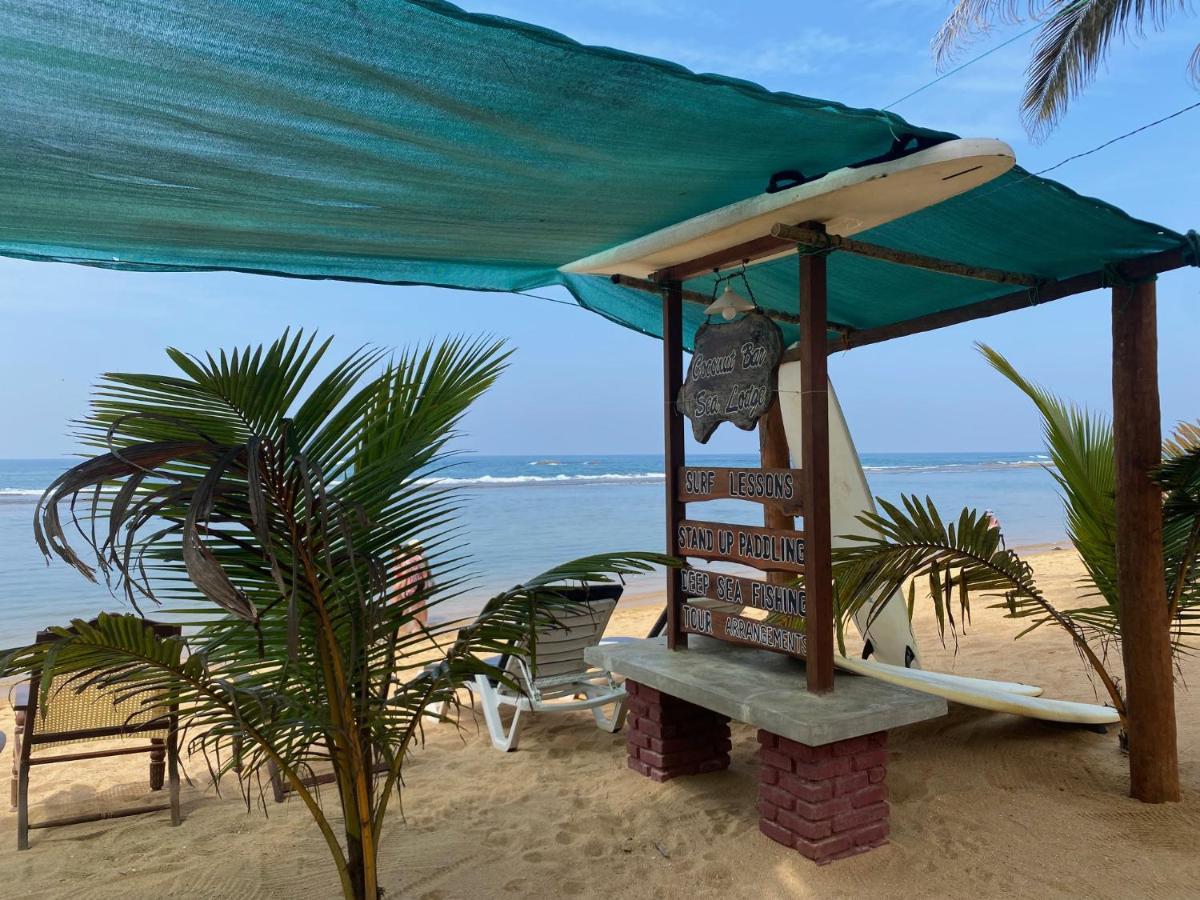 Hotel Coconut Bar Sea Lodge Beruwala Eksteriør bilde