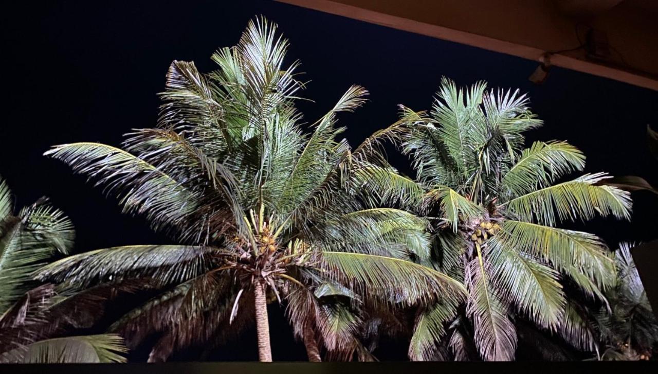 Hotel Coconut Bar Sea Lodge Beruwala Eksteriør bilde