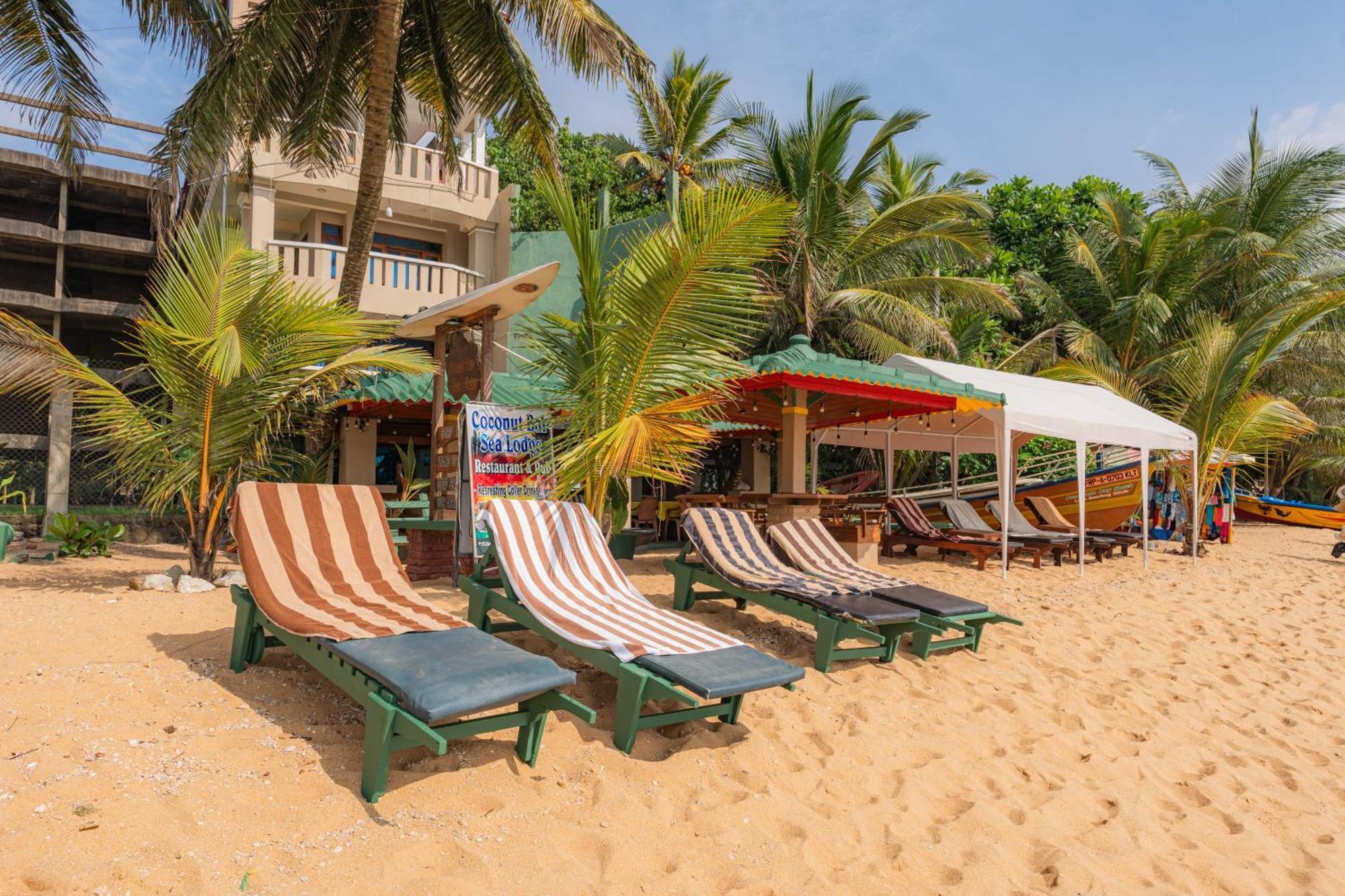 Hotel Coconut Bar Sea Lodge Beruwala Eksteriør bilde