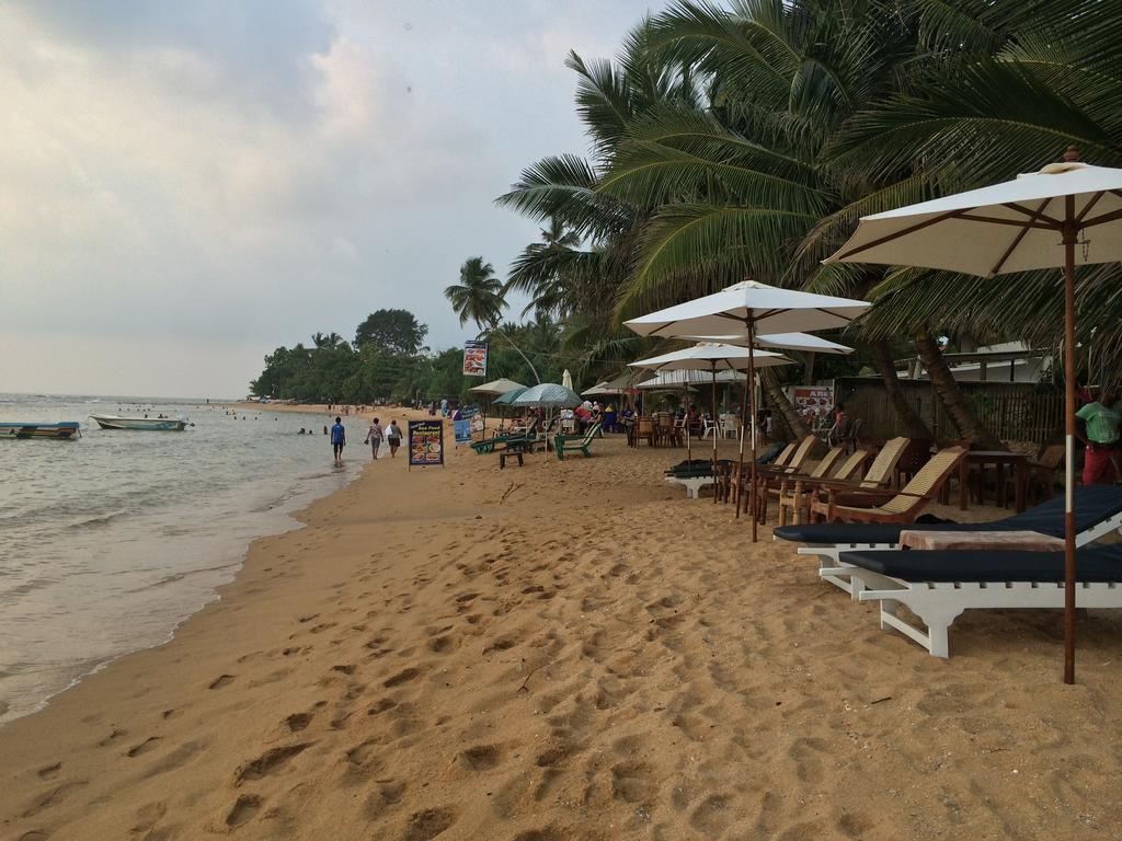 Hotel Coconut Bar Sea Lodge Beruwala Eksteriør bilde